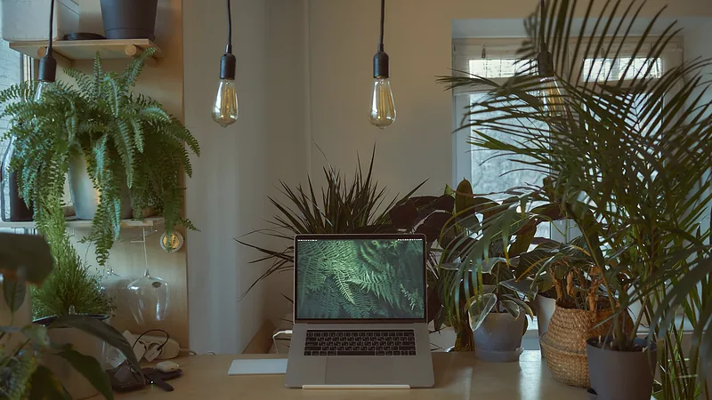 Aufgeklappter Laptop auf einem Schreibtisch zwischen Zimmerpflanzen
